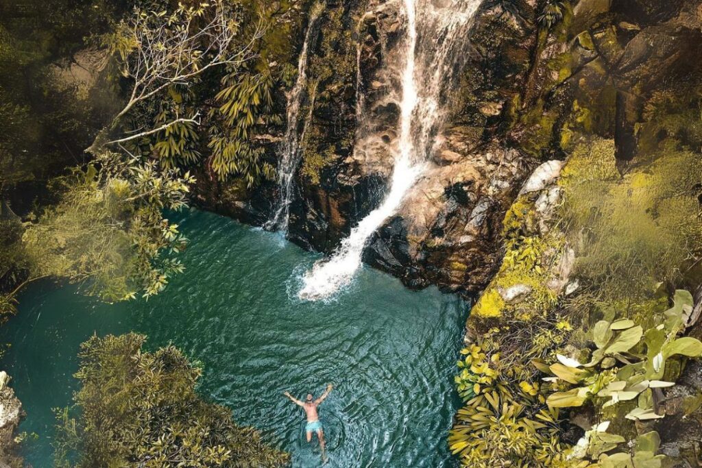 Excursión a la finca cafetalera La Victoria y a la cascada Marinka en Minca.