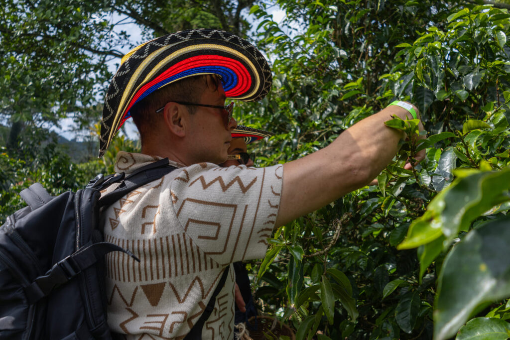 Cocora Valley & Coffee Farm: Nature, Tradition & the Authentic Taste of Colombia