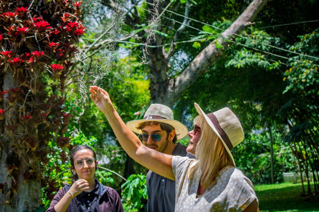 Local Coffee Farm Experience