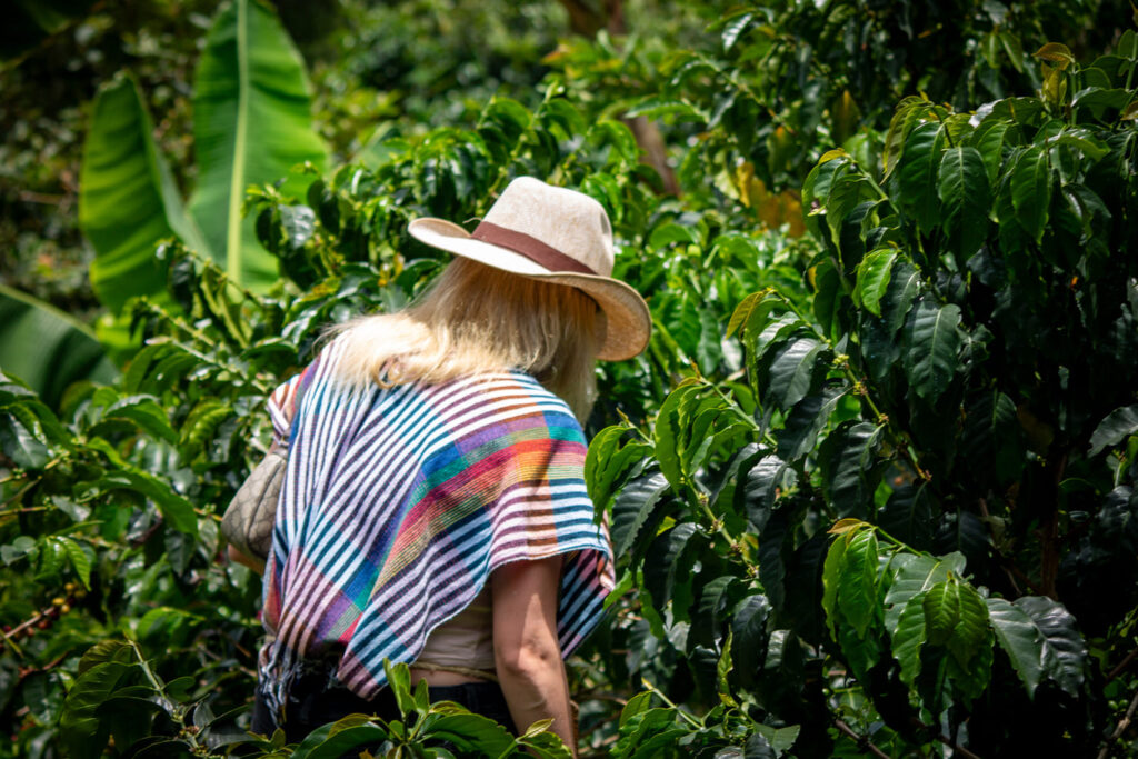 Coffee Farm Experience in Santa Elena