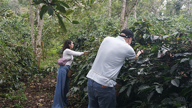 Beyond Colombia tour media