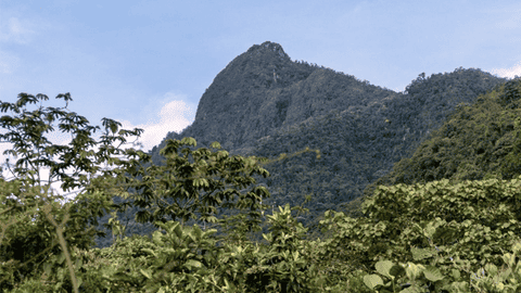 Beyond Colombia tour media