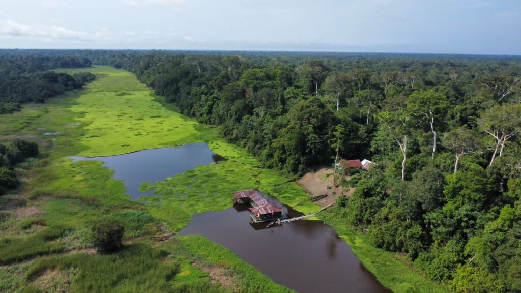 Amazonas en 3 países: 5 días por Colombia, Perú y Brasil